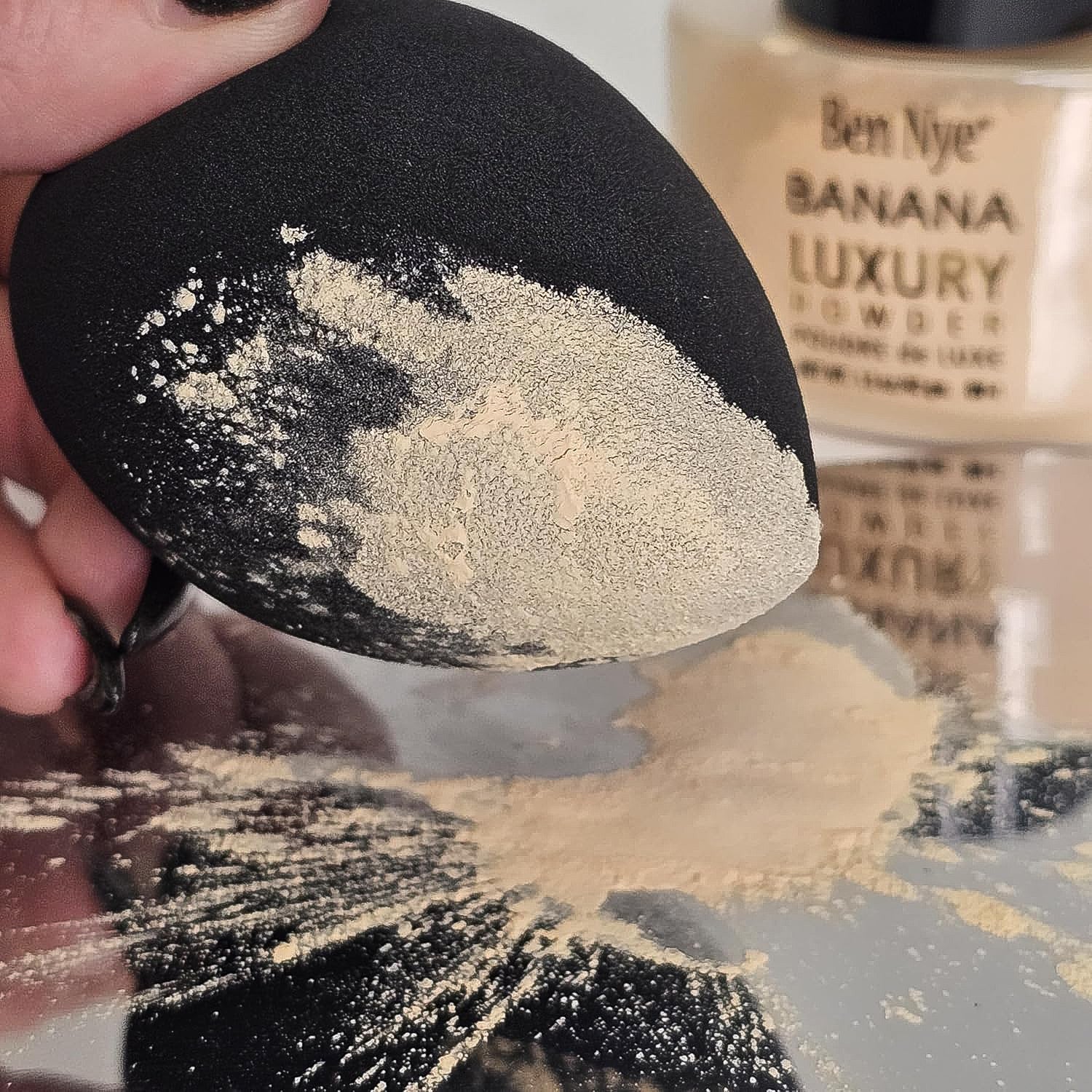 Rainbow Sponge Collection Rainbow Sponge Collection